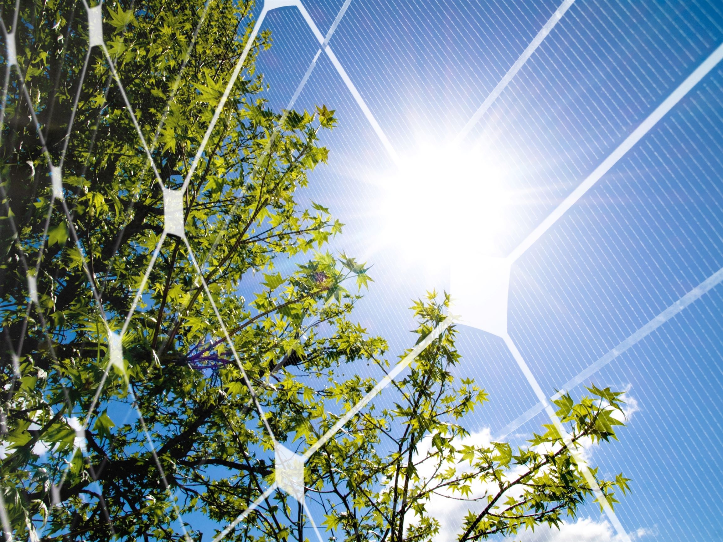 Clean solar panels near trees